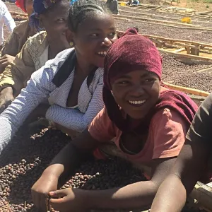 Boji Kochere *Natural* Grade 1, Kore - Yirgacheffe