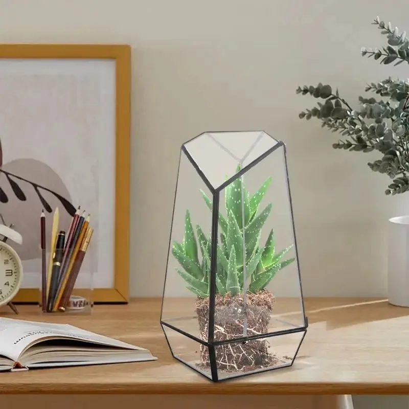 Geometric Terrarium Modern Handmade Glass with Door 25cm