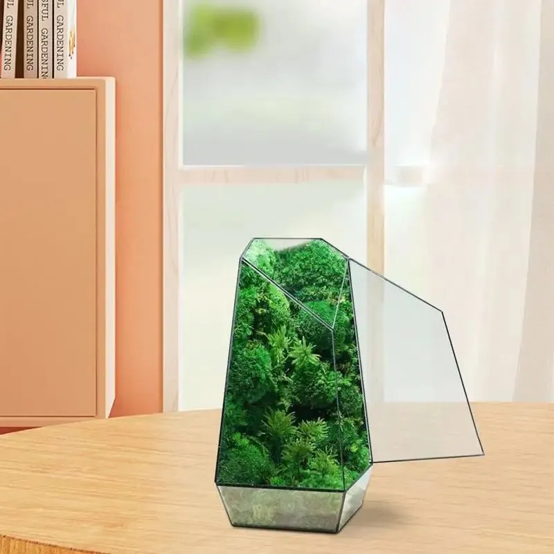 Geometric Terrarium Modern Handmade Glass with Door 25cm