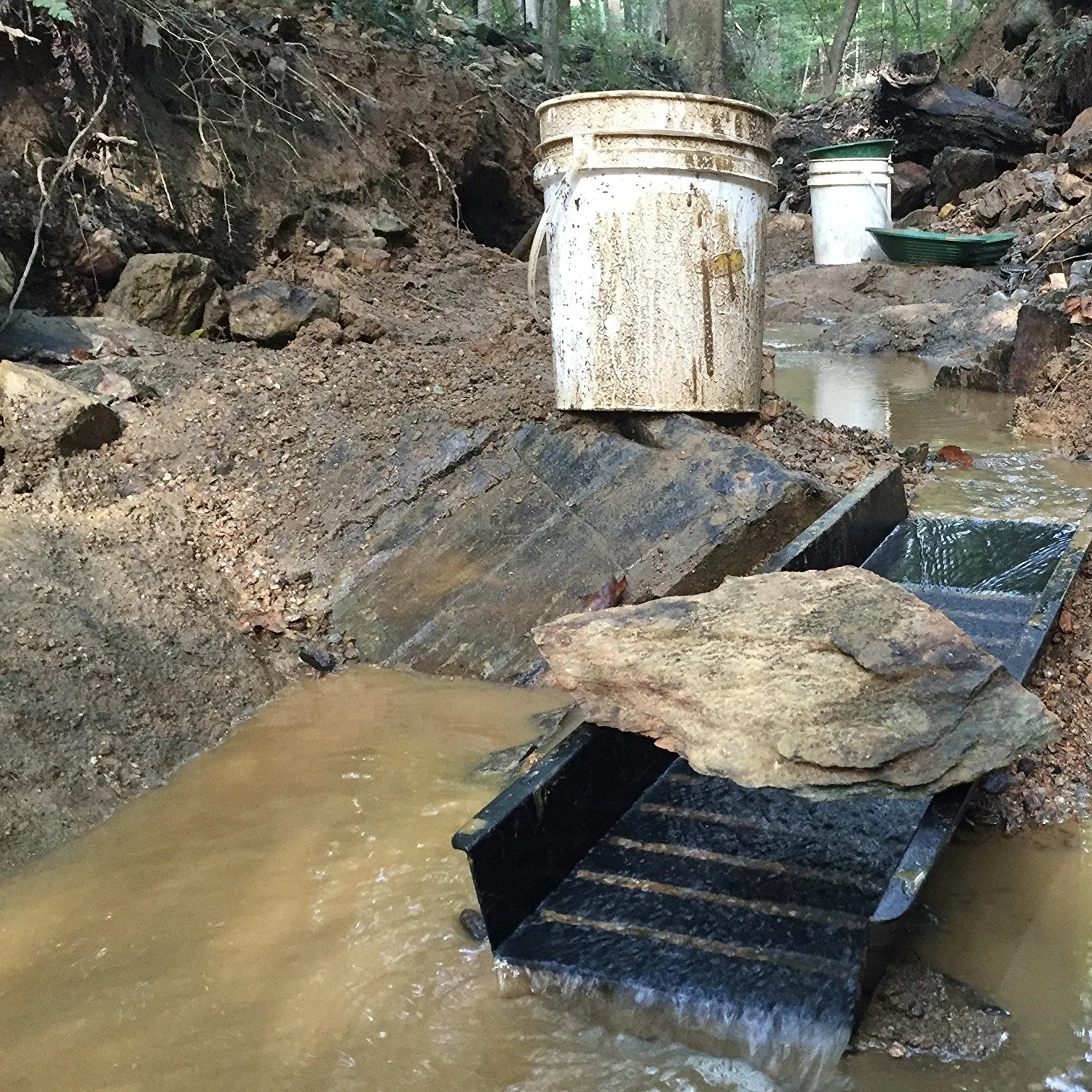 Goldn Badger Hoard Gold Panning Paydirt