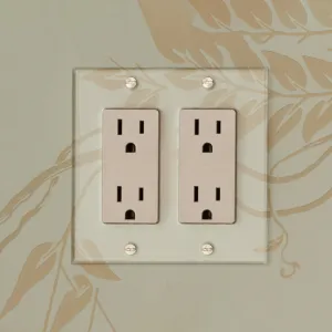Invisible Plate 2 Gang Outlet by Forbes & Lomax