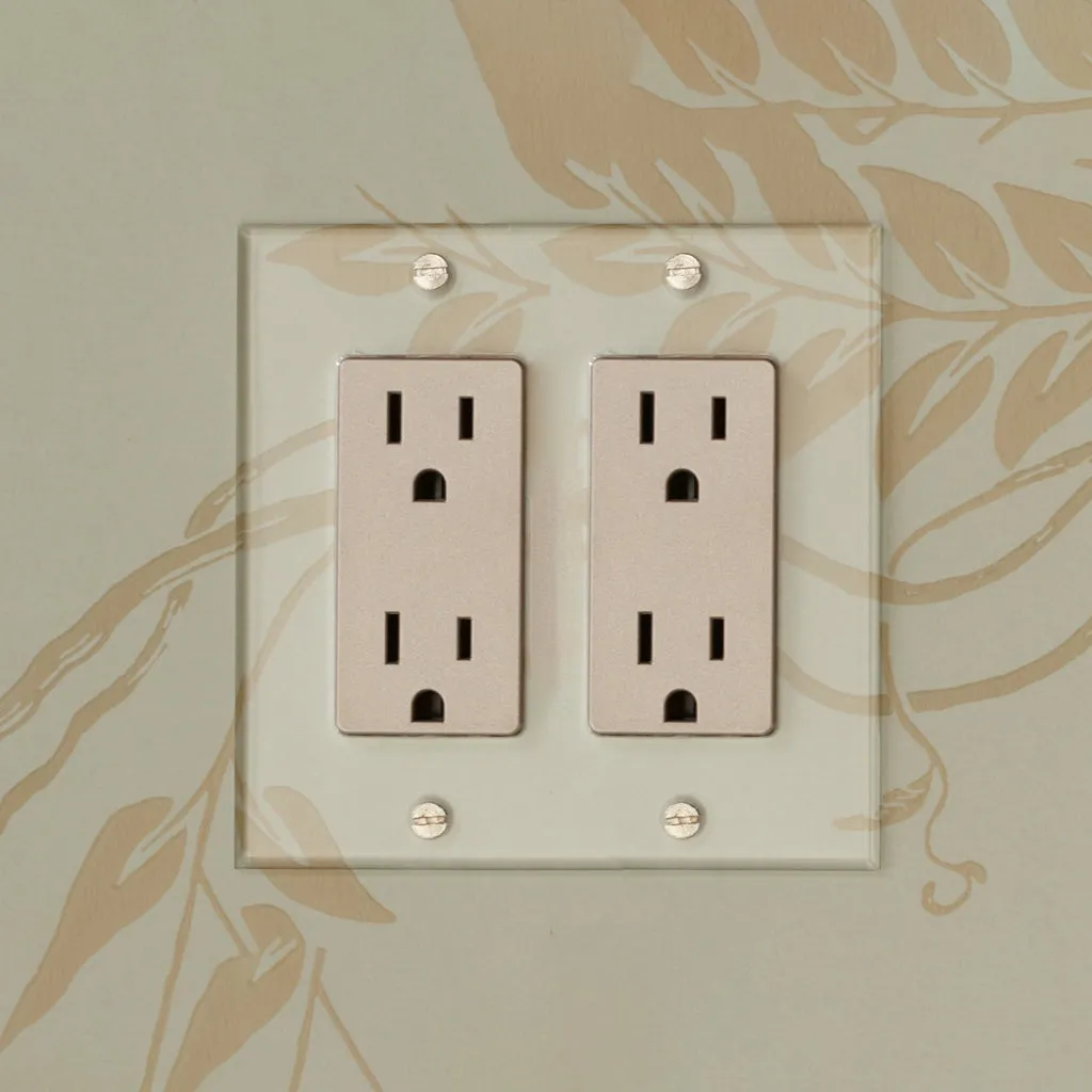 Invisible Plate 2 Gang Outlet by Forbes & Lomax