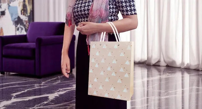 Pastel Triangle Pattern Gift Bags - Set Of 4, Sizes Available.