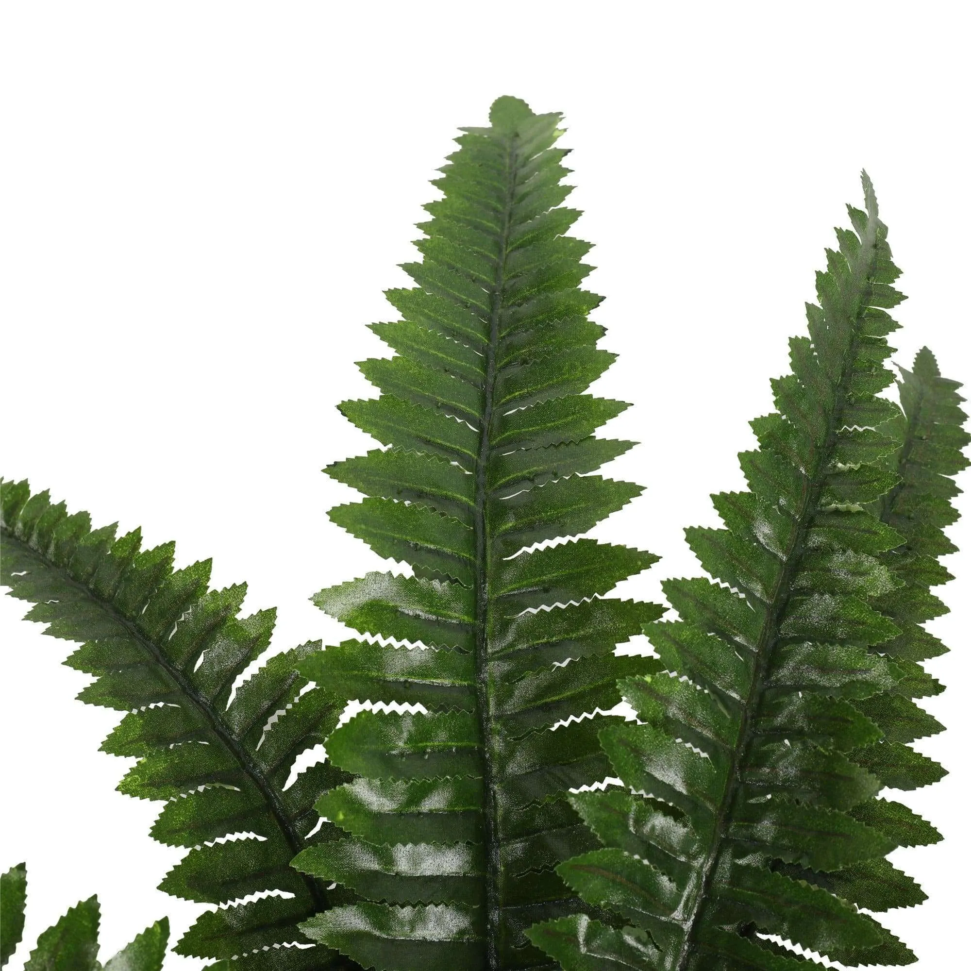 Potted Natural Green Artificial Boston Fern (50cm high 70cm wide)
