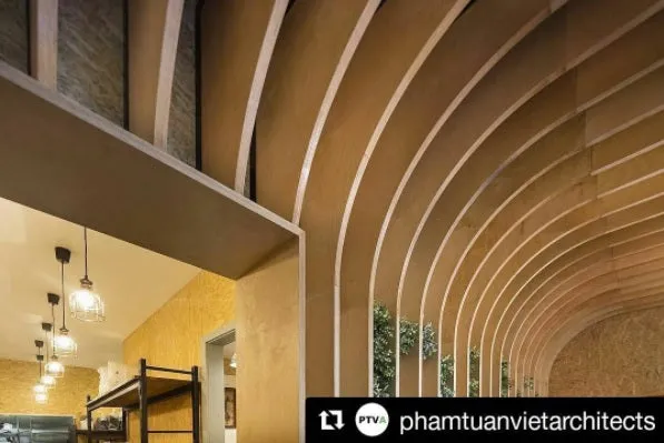 Premium Birch Plywood